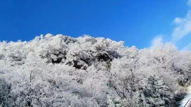 巴西国油CEO：红海危机或导致油价今年升破90美元